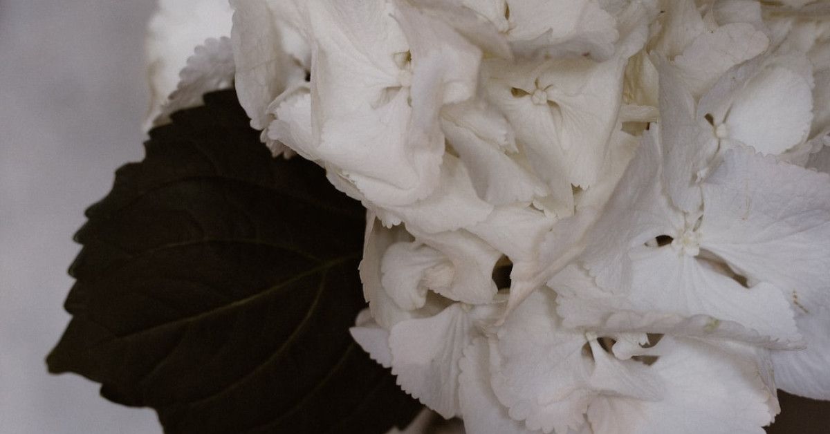 10 irresistible birthday gift ideas to surprise your husband.