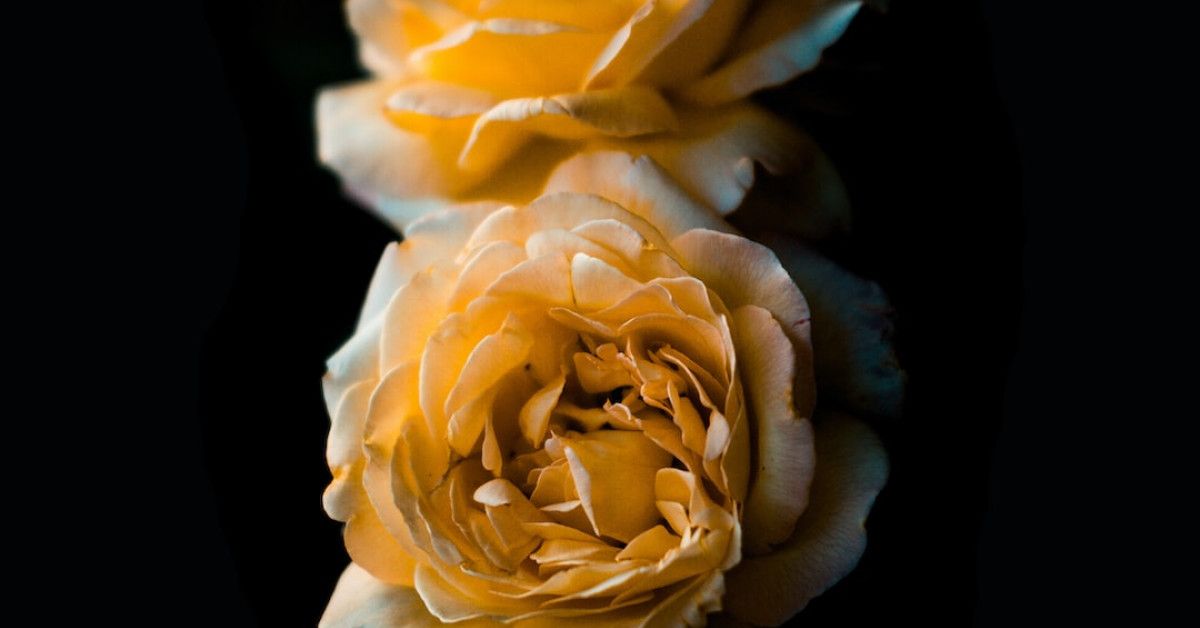 Beautiful gold anniversary bands for her, unforgettable moments captured.