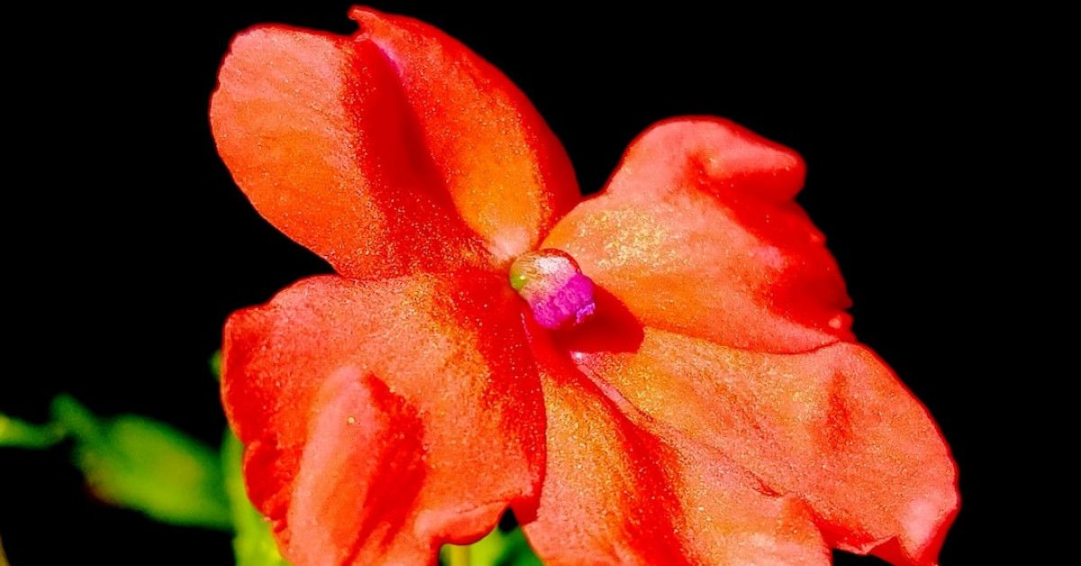 Stacked anniversary bands: a timeless symbol of love and beauty.